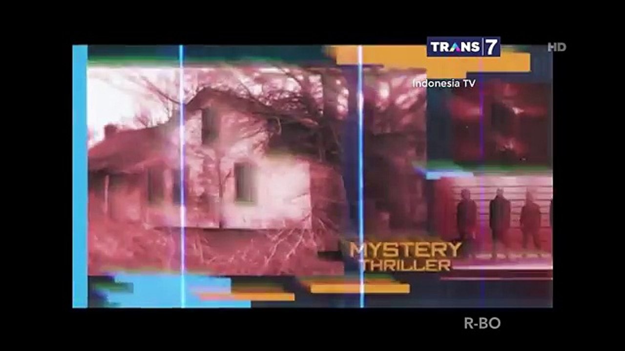 7 Serangan Hewan di Jalan [On The Spot]
