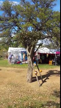 Au Texas, lors de la célébration de l’Art et la Nature un homme se déguise en arbre. Magnifique !!!