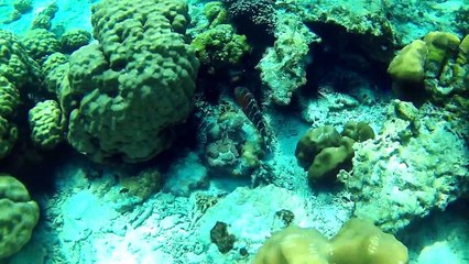 Rock Island (Krabi) Thailand 2017