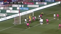 Cerezo Osaka 1:0 Yokohama Marinos (J-League Cup. 15 March 2017)