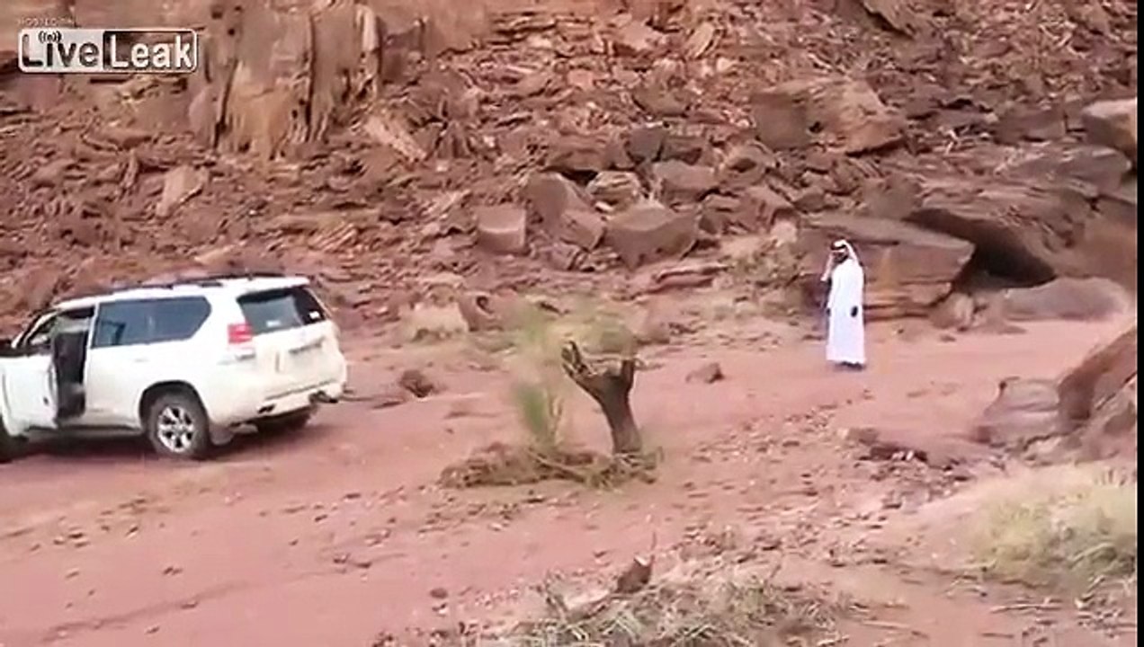 nature revenge