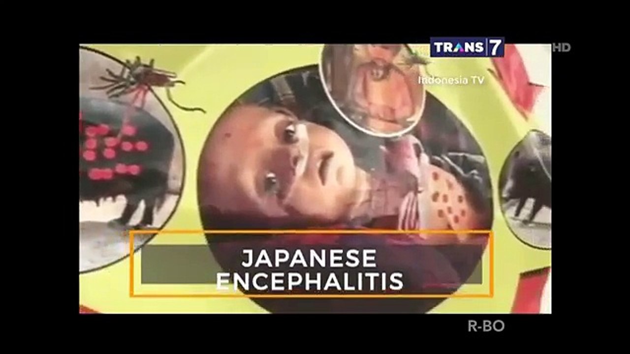 7 Penyakit Mematikan Akibat Gigitan Nyamuk [On The Spot]