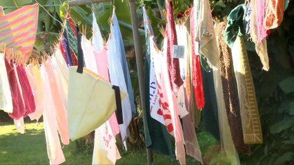 Your Clothes Are Poisoning Fish