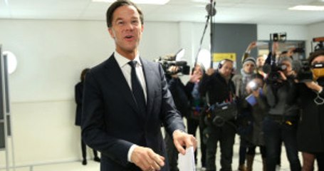 Hollanda'da Seçimleri Rutte Kazandı