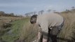 Trapped Sheep Gets Rescued From a Bog in Scotland