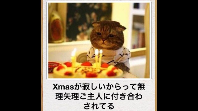 ロバート 秋山 ipponグランプリまとめ