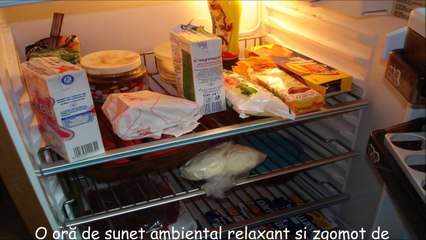 O oră de sunet ambiental relaxant și zgomot de frigider
