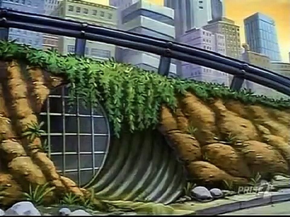 dessin animé tortue ninja en français