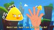 Сердитый птицы палец Семья Песня для Дети и Дети мультфильм анимация питомник рифмы