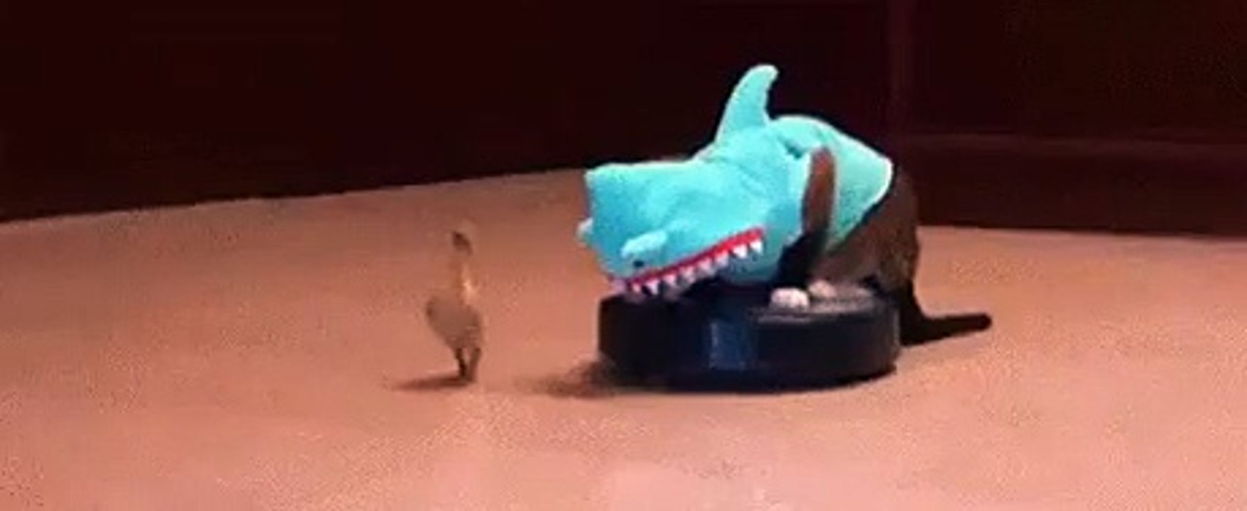 Furious-gif
