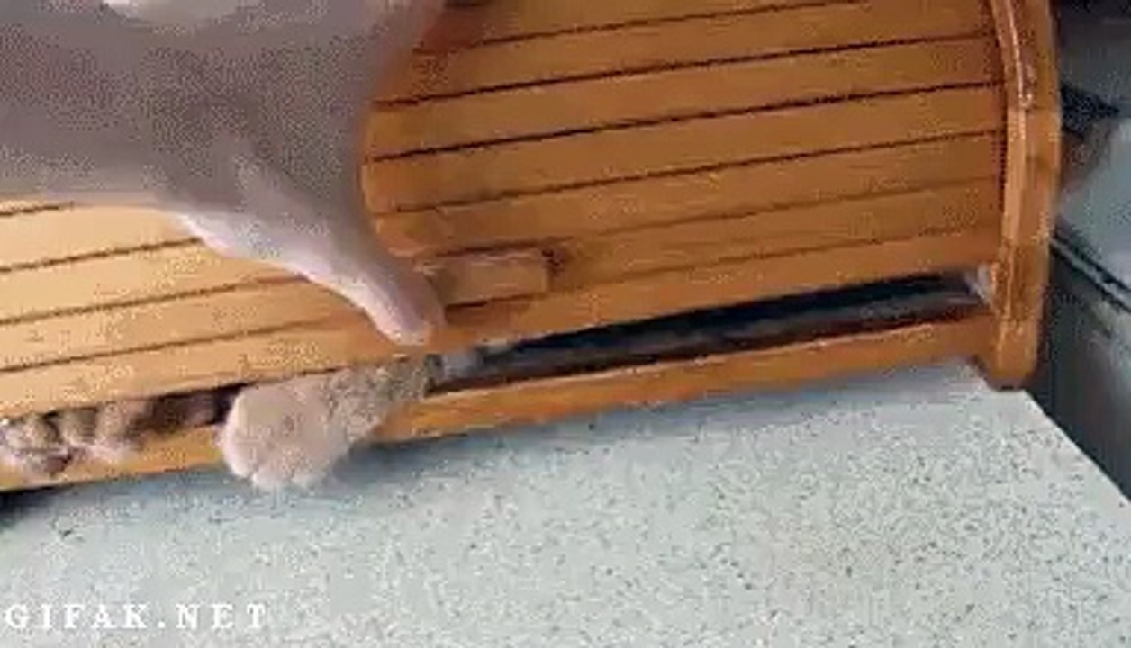 Surprise-Draw