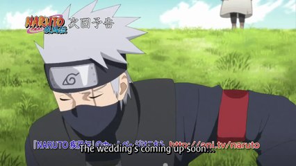 Naruto Shippuden 499 Vostfr