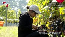NHKクローズアップ現代 「美味しくなった日本のワイン」