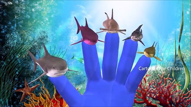 Sharks Finger Family Cartoon Nursery Rhymes For Kids | Finger Family Shark | Rhymes For Children