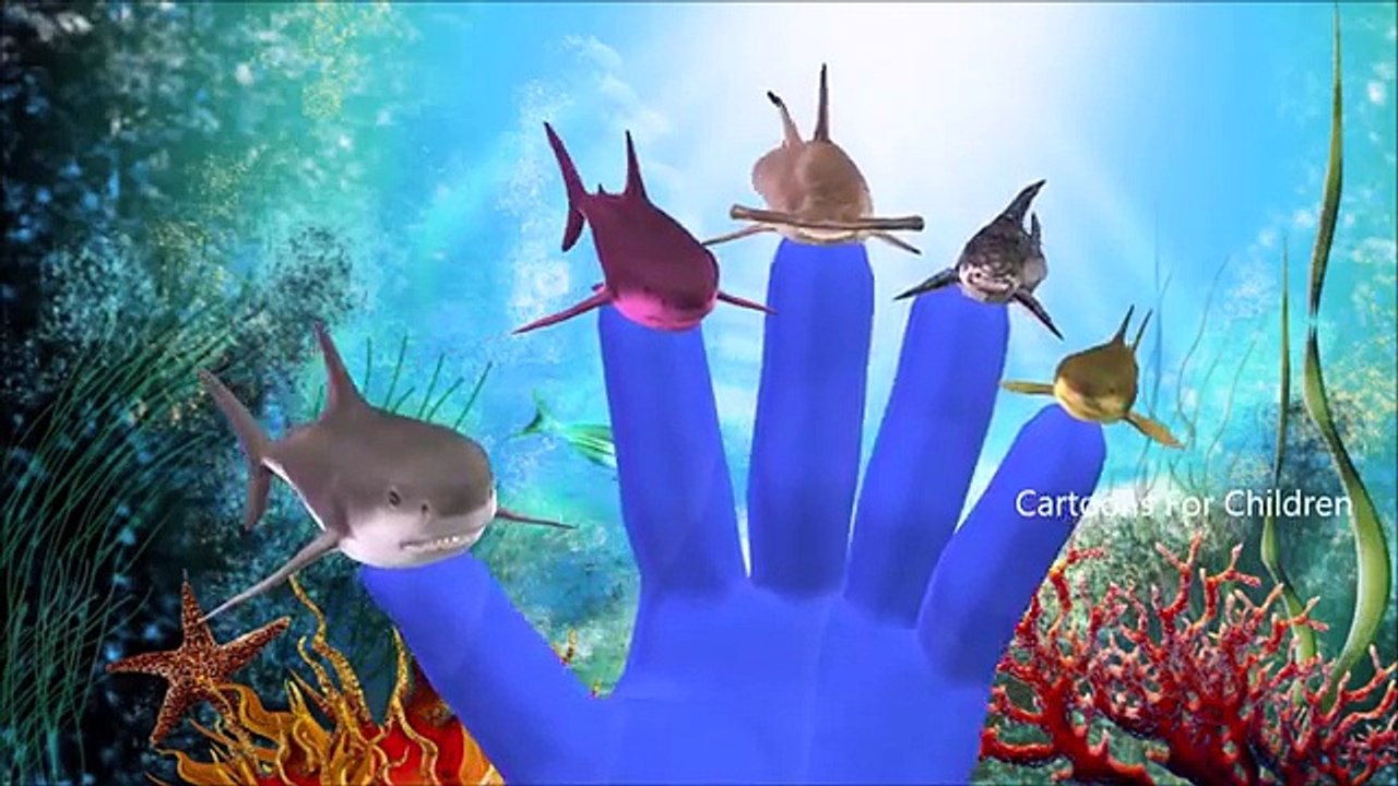 Sharks Finger Family Cartoon Nursery Rhymes For Kids | Finger Family Shark | Rhymes For Children