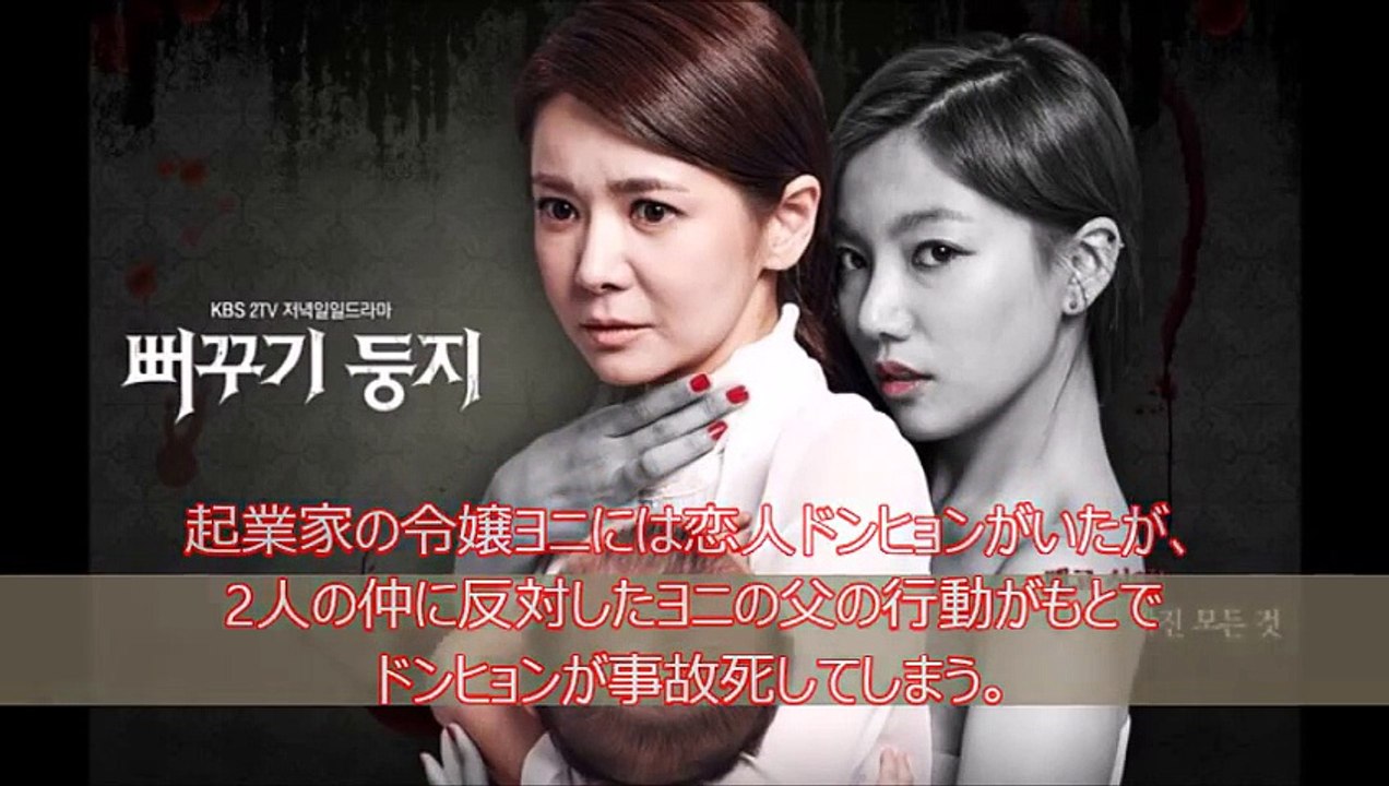 【カッコウの巣動画日本語字幕あらすじ】韓流ドラマを無料で１話～最終回まで見る方法