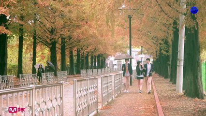 K타이거즈[K-Tigers]