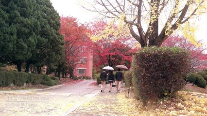 [M/V]K타이거즈-지켜줄게