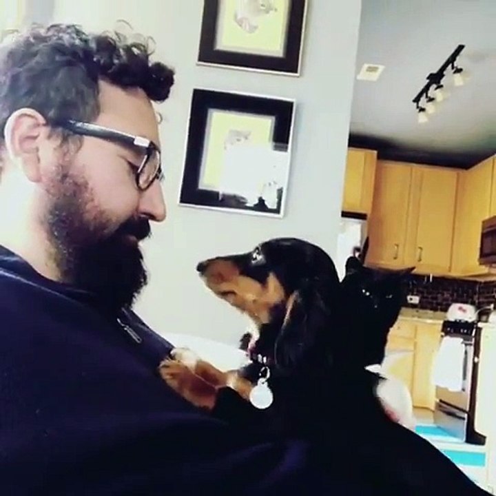 Un chien n'aime pas trop les bisous !