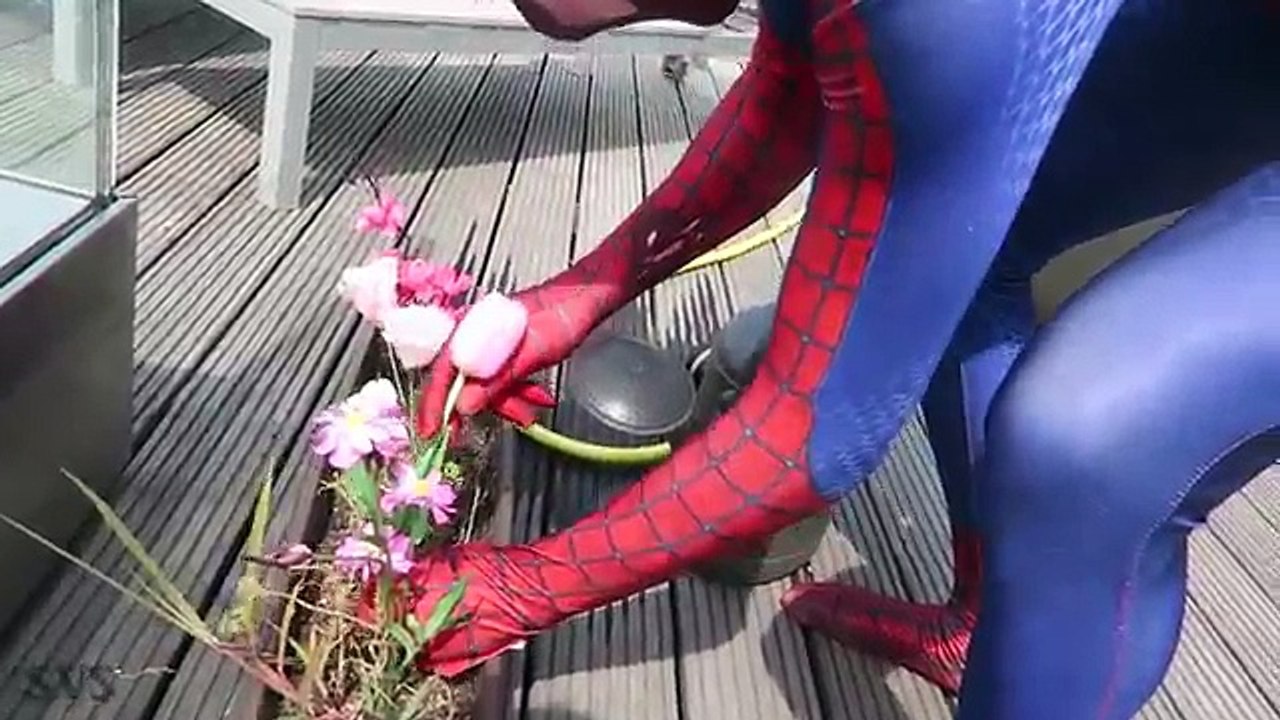 Joker Girl vs Frozen Elsa! Eyelashes Hunt! w/ Spiderman! Real Life Superhero Movie