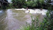 Thrill-Seeking Surfers Ride Rapids of a Raging Stream