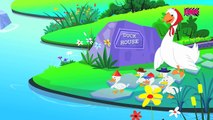 Baby Bao panda | five little ducks went swimming one day | baby songs | 3d rhymes
