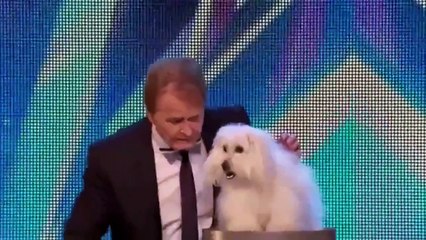 Fantastic News! 🎉