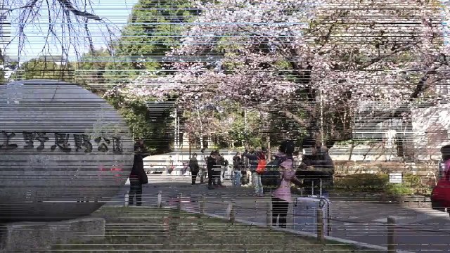UENO PARK TOKYO JAPAN