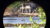 Shoot top birds -Sniper hunt birds in the field | vietnam