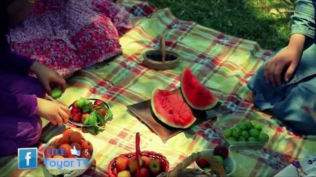 كلك زوء (بدون إيقاع) - براء العويد _ طيور الجنة