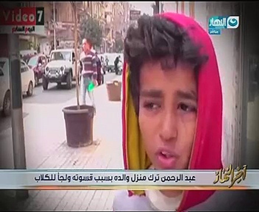 محمد الدسوقى رشدى يبرز فيديوهات "اليوم السابع"..ويؤكد: قصة الراقص مع الكلاب رسالة لوزارة التضامن والمجتمع
