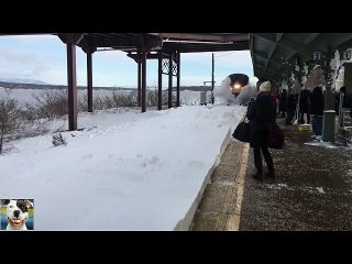 tren cubre a todos con una capa de nieve 2017