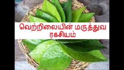 வெற்றிலையின் மருத்துவப் பயன்கள்!!!