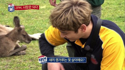 "찬성, 코알라에 마지막 작별 키스 '애절'" [2PM Wildbeat] 7회