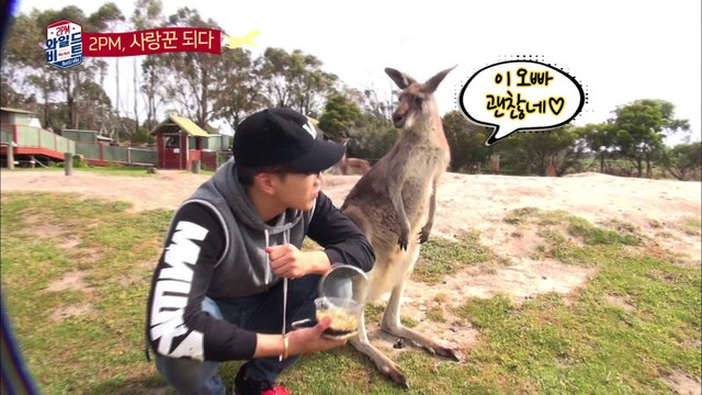 귀여운 동물들에 홀딱' 반한 2PM [2PM Wildbeat] 7회