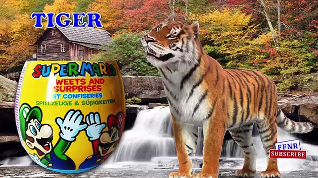 Animals Finger Family Song - Mega Finger Family Collection Part 2! Learn to count with the