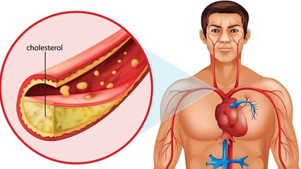කඩල කනවිට ඔබේ ශරීරයට සිදුවෙන දේ මෙන්න - What happens when you eat chickpeas