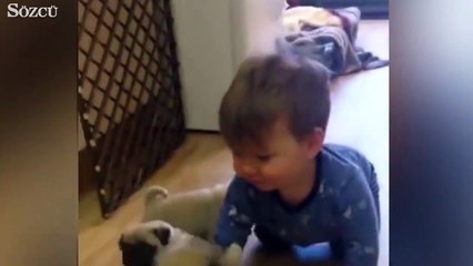 Hangisi daha tatlı?