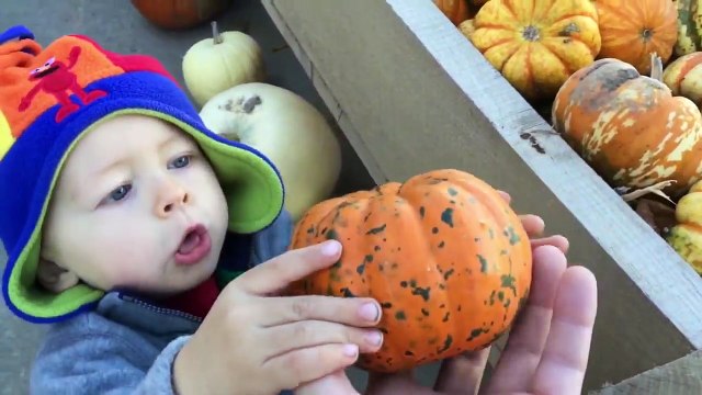 Обучение цвета с тыква Пожар грузовая машина Хэллоуин монстр грузовая машина динозавры для Дети детских и спортивных