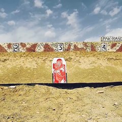 Nippon Twist-Turn Target System