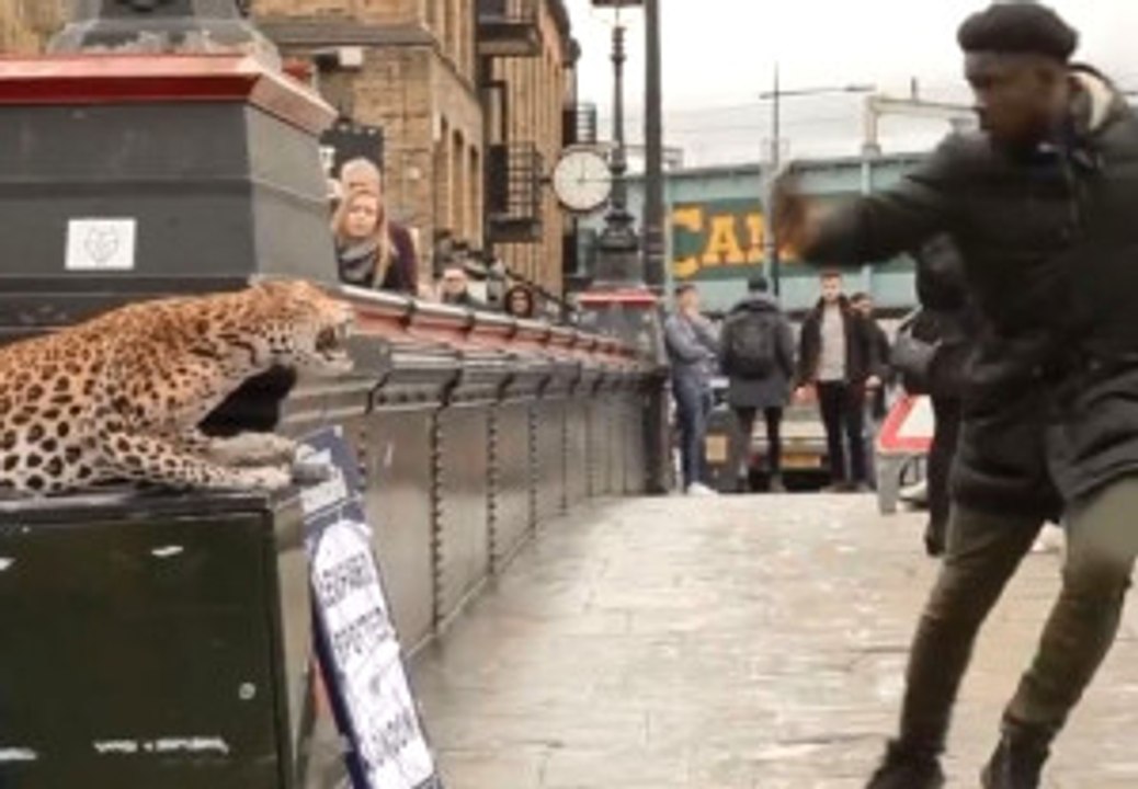 Leopar Şakası Yoldan Geçenleri Korkuttu