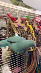 Wat r u doin' bro xD lol