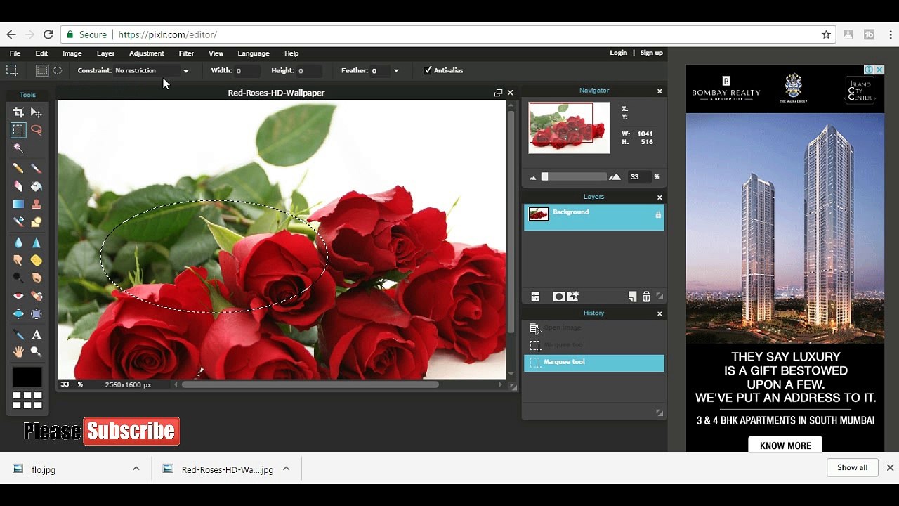 Pixlr Editor Tutorial Selection Tool (Marque tool,Wand tool, Lasso tool) in hindi