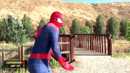T Rex Godzilla Spiderman Deadpool Ironman in real life