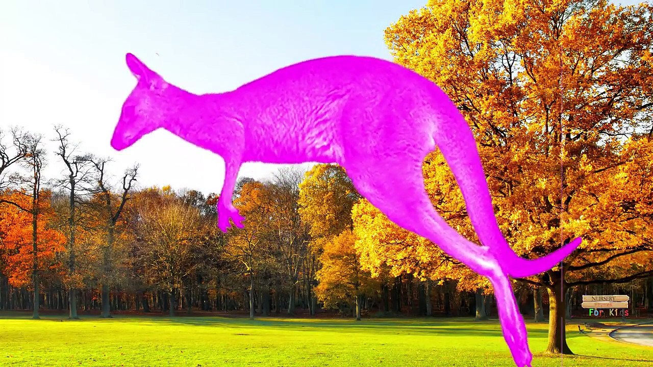 Learn Wild Animal Sounds And Names For Kids | Tiger Elephant Lion Nursery Rhymes For Child