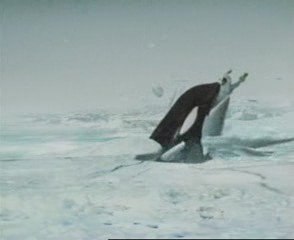 la peche dans le pôle nord " humour "