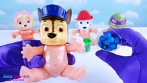 Paw Patrol and TMNT Baby Dolls Candy Vending Machine Best Pretend Play Video for Kids and