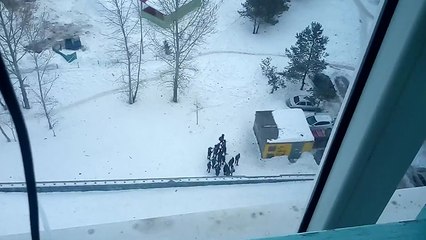 Il empêche une bagarre en diffusant le bruit d'une sirène de police