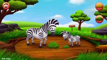 Learn Animals Names & Sounds for Children | Learn Wild Animals & Farm Animals,Sea Animals