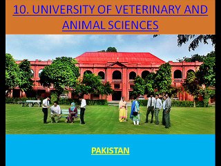 Pakistan Top 10 Ranking Universities